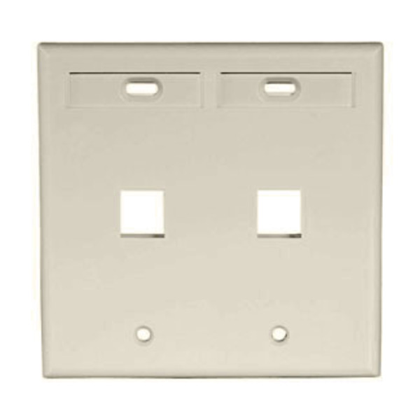 Leviton Number of Gangs: 2 High-Impact Plastic, Ivory 42080-2IP